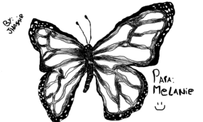 sketch 2668 Butterfly by Loai Issa