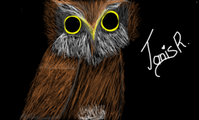 sketch #5018 Owl by Komlós László