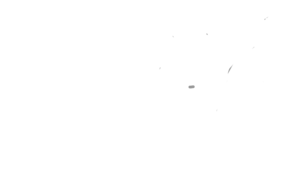 sketch 89174 manatee