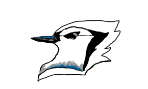 sketch 89257 Blue Jay Head