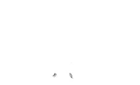 sketch 92323 teshuva