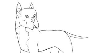 sketch 92597 Pittbull- Pyromid618