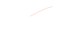sketch 113575 