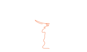 sketch 138478 