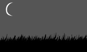 sketch 128970 