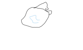 sketch 130575 