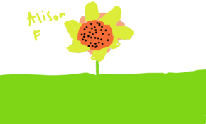 sketch 161868 