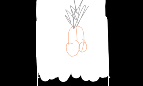 sketch 152111 