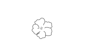 sketch 169789 