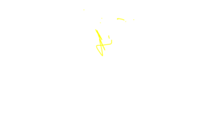 sketch 174482 