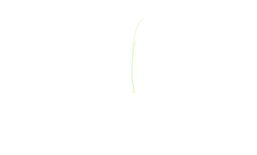 sketch 178651 