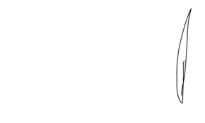 sketch 184688 