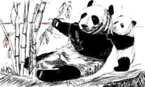 sketch 3489 Panda by Scott Terry