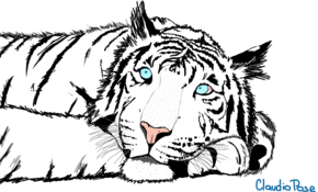 sketch #4937 Favorite animal competition runner-up: White Tiger by Deepak Kaushik