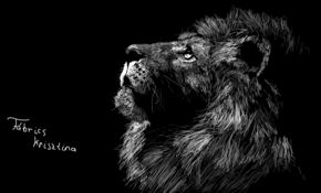 sketch #5086 Lion by Z Ionut Ady