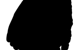 sketch 100391 