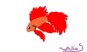 sketch #91445 Red Betta fish ( dunno the type) ~ Alias