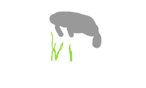 sketch 105700 <a href=http://ellemarket.com/valyufiks-kupit-fiksator-cena-oficialnyj-sajt.html>валюфикс купить</a> валюфикс манжет для пальца от косточек вальгуса