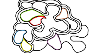 sketch 112170 smae brain