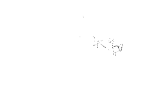 sketch 139254 