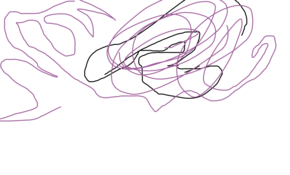 sketch 135749 