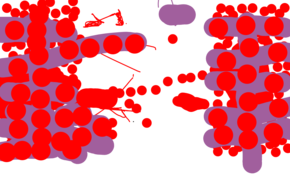 sketch 161878 