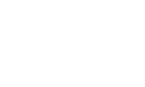 sketch 161988 