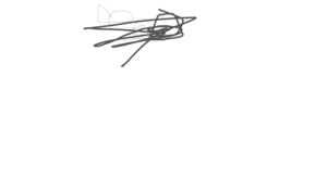 sketch 164409 