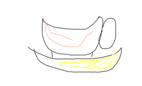 sketch 166292 