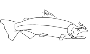 sketch 166585 