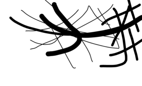 sketch 167989 