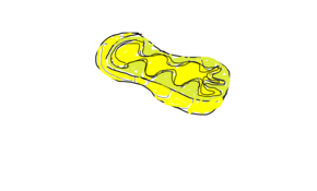 sketch 171520 