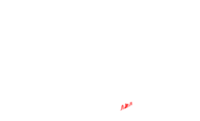 sketch 172174 