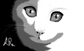 sketch 173640 