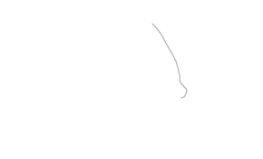 sketch 184258 